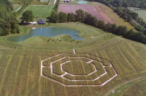 corn maze aerial view